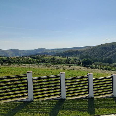 Vila Aloman Sebeş Eksteriør billede