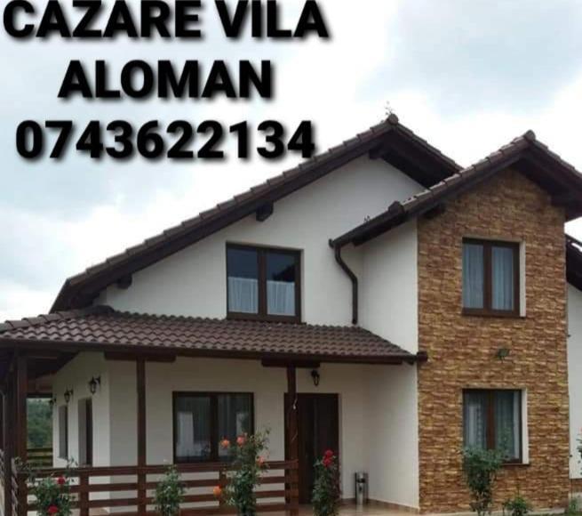 Vila Aloman Sebeş Værelse billede
